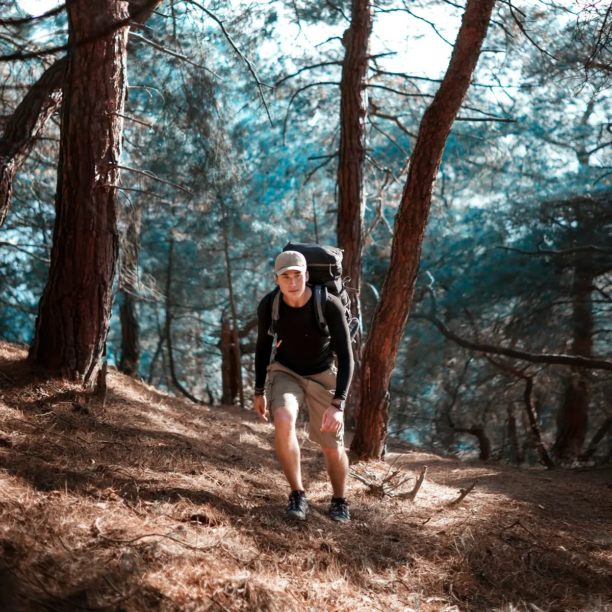 Young adult hiking